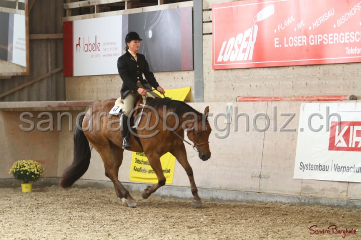29-ApHC OHUS_028.jpg